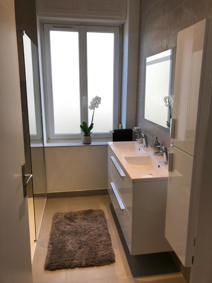 Appartement De Prestige Au Centre Climatise Avec Jardin Prive Colmar Exteriér fotografie