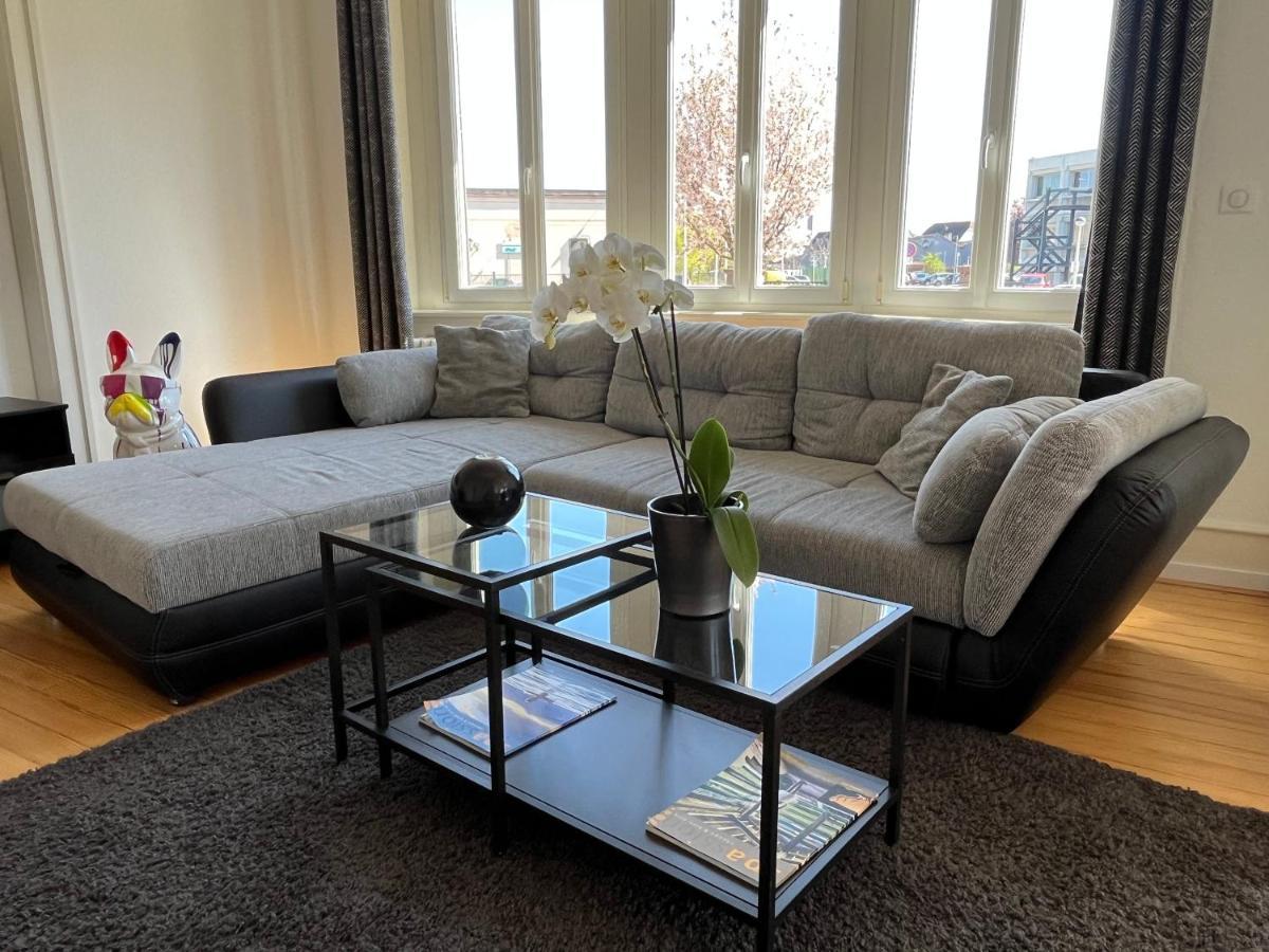 Appartement De Prestige Au Centre Climatise Avec Jardin Prive Colmar Exteriér fotografie