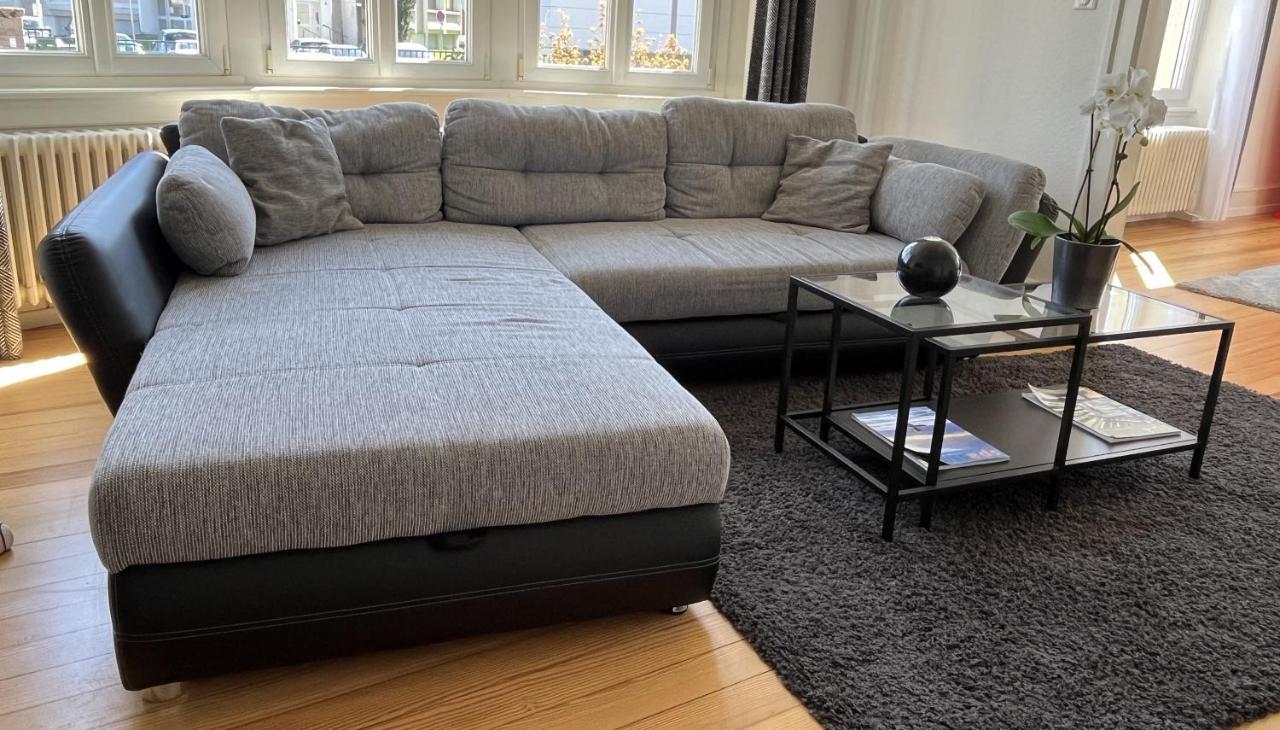 Appartement De Prestige Au Centre Climatise Avec Jardin Prive Colmar Exteriér fotografie