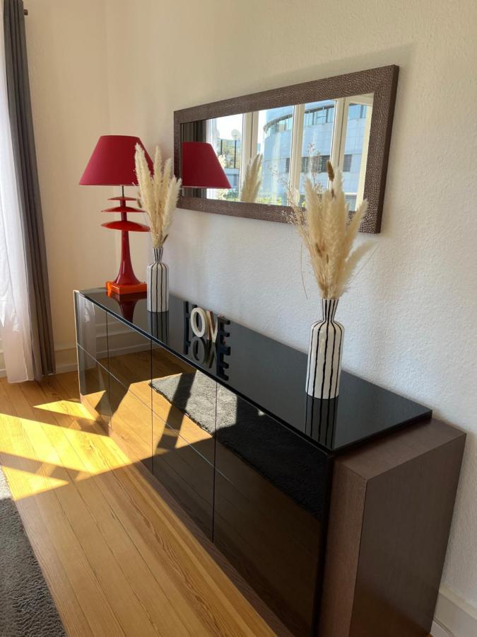 Appartement De Prestige Au Centre Climatise Avec Jardin Prive Colmar Exteriér fotografie