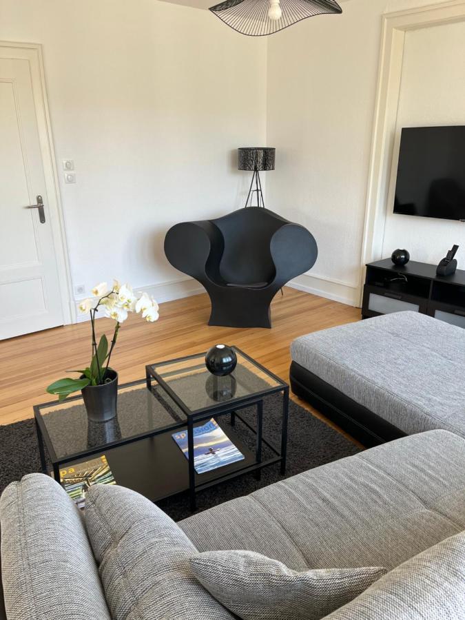 Appartement De Prestige Au Centre Climatise Avec Jardin Prive Colmar Exteriér fotografie