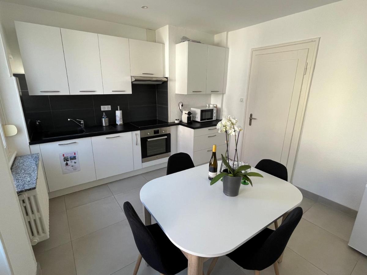 Appartement De Prestige Au Centre Climatise Avec Jardin Prive Colmar Exteriér fotografie