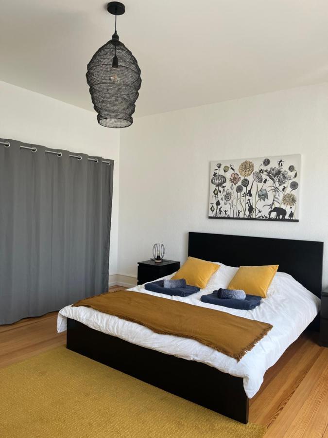 Appartement De Prestige Au Centre Climatise Avec Jardin Prive Colmar Exteriér fotografie