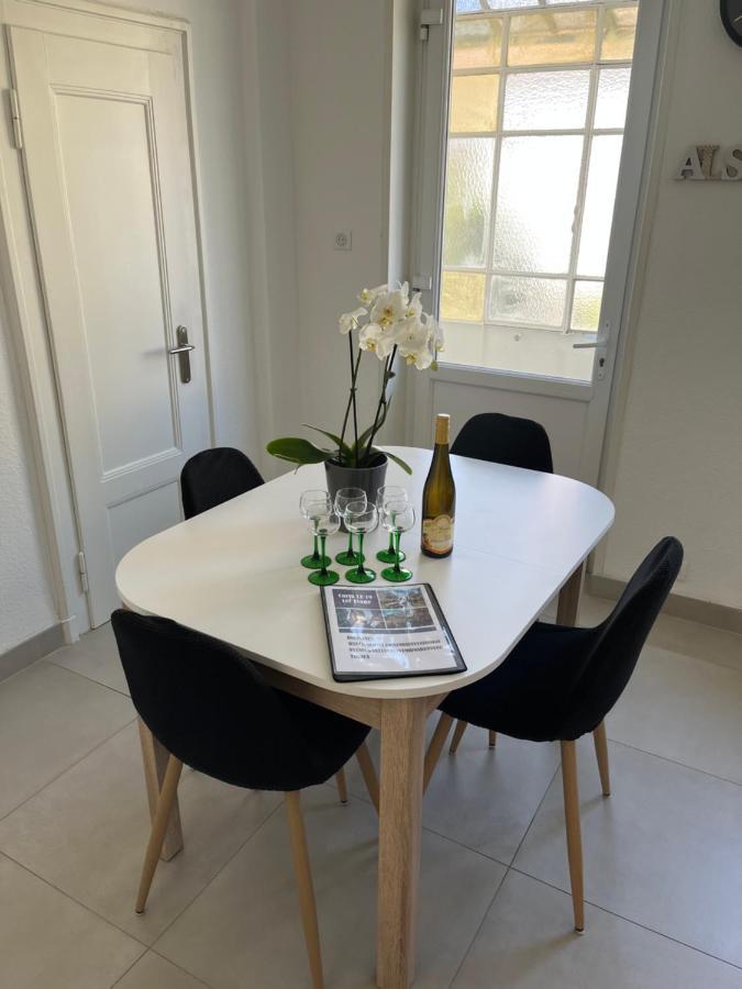 Appartement De Prestige Au Centre Climatise Avec Jardin Prive Colmar Exteriér fotografie