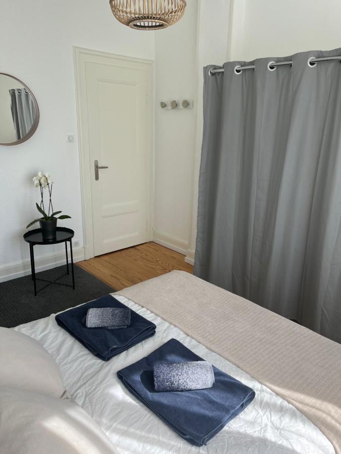 Appartement De Prestige Au Centre Climatise Avec Jardin Prive Colmar Exteriér fotografie