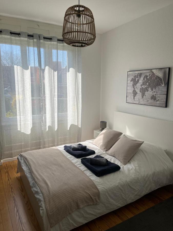 Appartement De Prestige Au Centre Climatise Avec Jardin Prive Colmar Exteriér fotografie