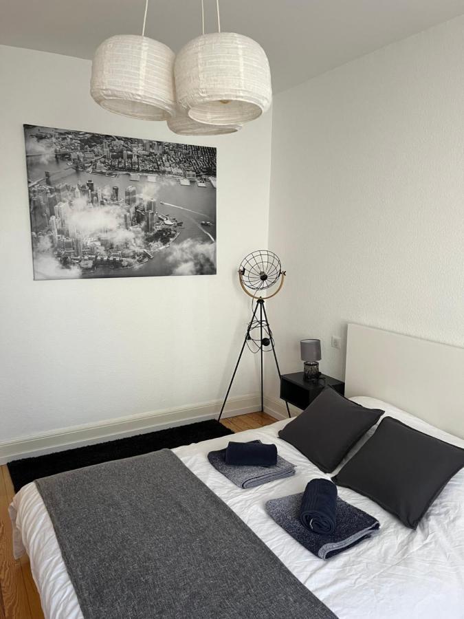 Appartement De Prestige Au Centre Climatise Avec Jardin Prive Colmar Exteriér fotografie